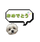 ちゃぴってみよう。つー（個別スタンプ：18）