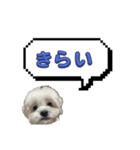 ちゃぴってみよう。つー（個別スタンプ：20）