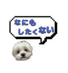ちゃぴってみよう。つー（個別スタンプ：27）