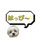 ちゃぴってみよう。つー（個別スタンプ：29）