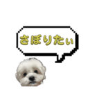 ちゃぴってみよう。つー（個別スタンプ：32）