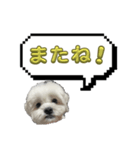 ちゃぴってみよう。つー（個別スタンプ：34）