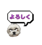 ちゃぴってみよう。つー（個別スタンプ：38）