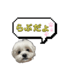 ちゃぴってみよう。つー（個別スタンプ：39）