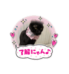 黒猫 ノアルのスタンプ（個別スタンプ：13）