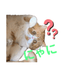 ねこの大五郎2（個別スタンプ：24）