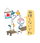 三毛猫マリオンの夏（個別スタンプ：16）