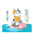 三毛猫マリオンの夏（個別スタンプ：20）