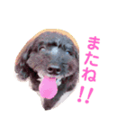 ♡ティアラ♡（個別スタンプ：5）