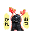 ♡ティアラ♡（個別スタンプ：7）