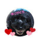 ♡ティアラ♡（個別スタンプ：16）