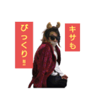 KiSaR's stamp Vol.V.（個別スタンプ：6）