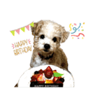 ハウルちゃんのスタンプ（個別スタンプ：4）