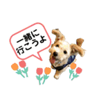 ハウルちゃんのスタンプ（個別スタンプ：7）