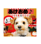 ハウルちゃんのスタンプ（個別スタンプ：24）