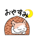 くせ毛猫のはっきり、使いやすいスタンプ（個別スタンプ：3）