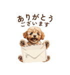 子犬トイプードルのスタンプ（個別スタンプ：5）