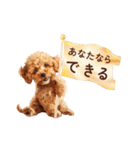 子犬トイプードルのスタンプ（個別スタンプ：16）