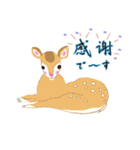 シニア動物（個別スタンプ：10）