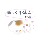 シニア動物（個別スタンプ：13）