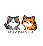 猫の癒しメッセージ（個別スタンプ：10）