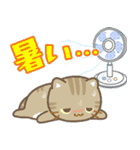 飛び出す！【夏】3びきのねこ（個別スタンプ：21）