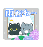 飛び出す！【夏】3びきのねこ（個別スタンプ：23）