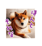 AI柴犬の日常会話スタンプ（個別スタンプ：17）