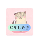 癒し系ねこちゃんの日常会話（個別スタンプ：15）