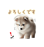 敬語を使うシベリアンハスキー犬（個別スタンプ：9）