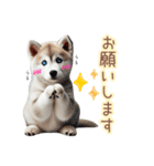 敬語を使うシベリアンハスキー犬（個別スタンプ：11）