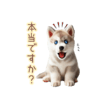 敬語を使うシベリアンハスキー犬（個別スタンプ：15）