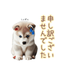 敬語を使うシベリアンハスキー犬（個別スタンプ：17）