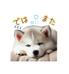 敬語を使うシベリアンハスキー犬（個別スタンプ：19）