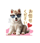 敬語を使うシベリアンハスキー犬（個別スタンプ：25）