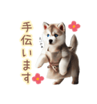 敬語を使うシベリアンハスキー犬（個別スタンプ：30）