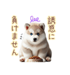 敬語を使うシベリアンハスキー犬（個別スタンプ：31）