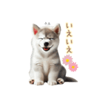 敬語を使うシベリアンハスキー犬（個別スタンプ：33）