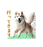 敬語を使うシベリアンハスキー犬（個別スタンプ：35）