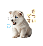 敬語を使うシベリアンハスキー犬（個別スタンプ：38）