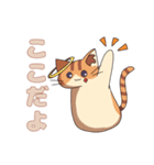 双子ねこ5（個別スタンプ：8）