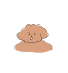 Good Dog (Toy Poodle)（個別スタンプ：15）