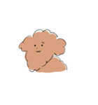 Good Dog (Toy Poodle)（個別スタンプ：16）