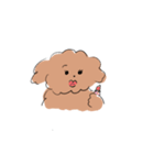 Good Dog (Toy Poodle)（個別スタンプ：19）