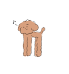 Good Dog (Toy Poodle)（個別スタンプ：23）