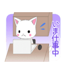 ちびにゃんこ10【いま何してる？】（個別スタンプ：7）