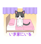 ちびにゃんこ10【いま何してる？】（個別スタンプ：16）