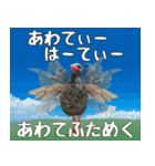 うちなーぐち(沖縄方言)大好き沖縄行きたい（個別スタンプ：23）