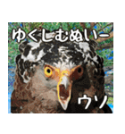 うちなーぐち(沖縄方言)大好き沖縄行きたい（個別スタンプ：36）