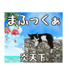 うちなーぐち(沖縄方言)大好き沖縄行きたい（個別スタンプ：38）